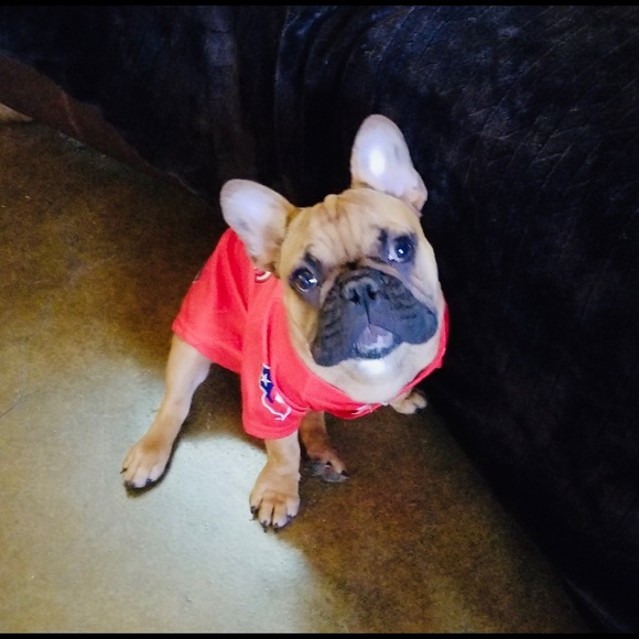 Meet your Posher, S - Picture 5 of 8